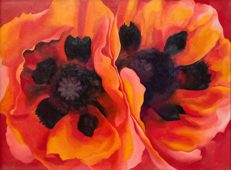 Georgia Okeeffe Poppies