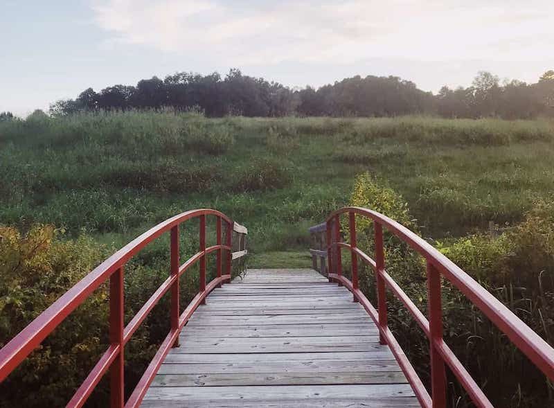 Bridge in a field