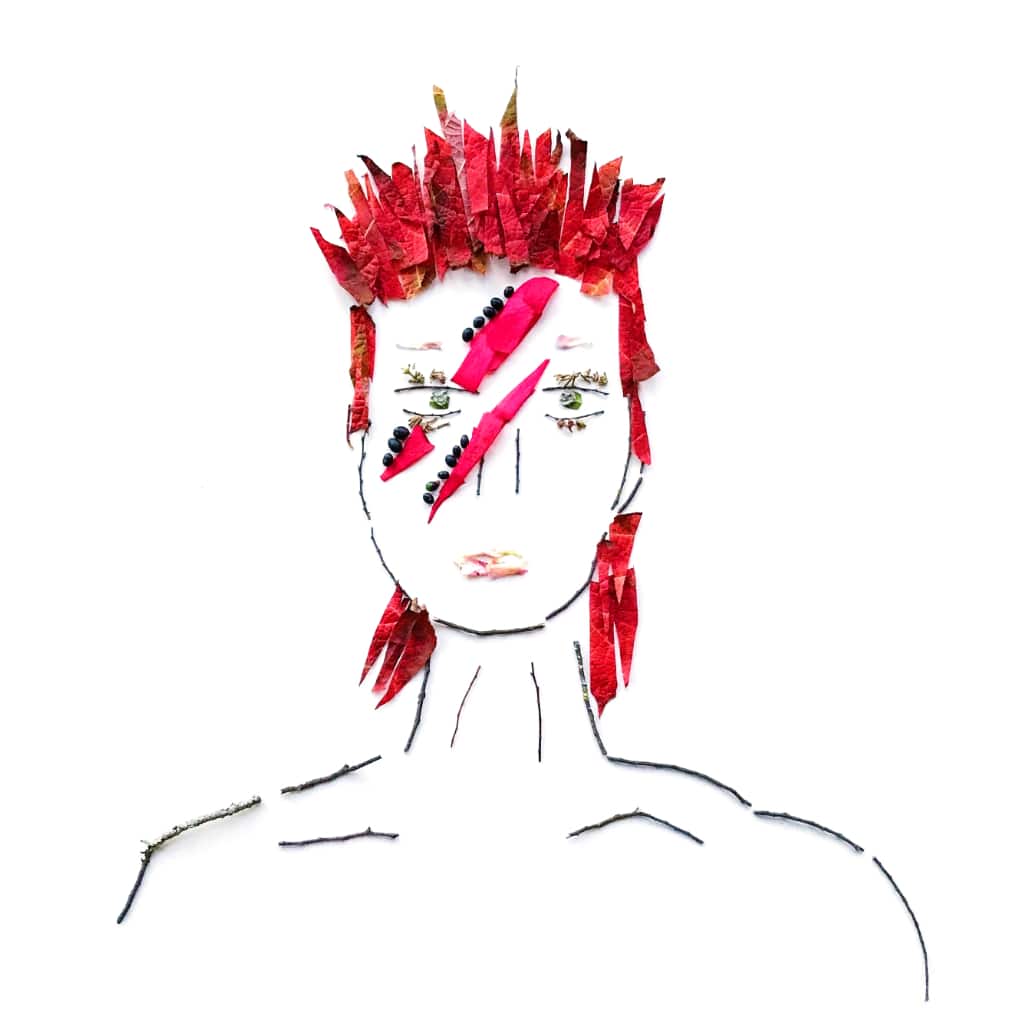 David Bowie foliage face by Caroline Lord